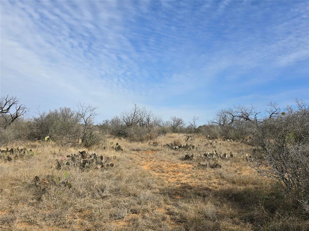 10315 Farm To Market 45 Rochelle, TX 76872 - Photo 27 of 40