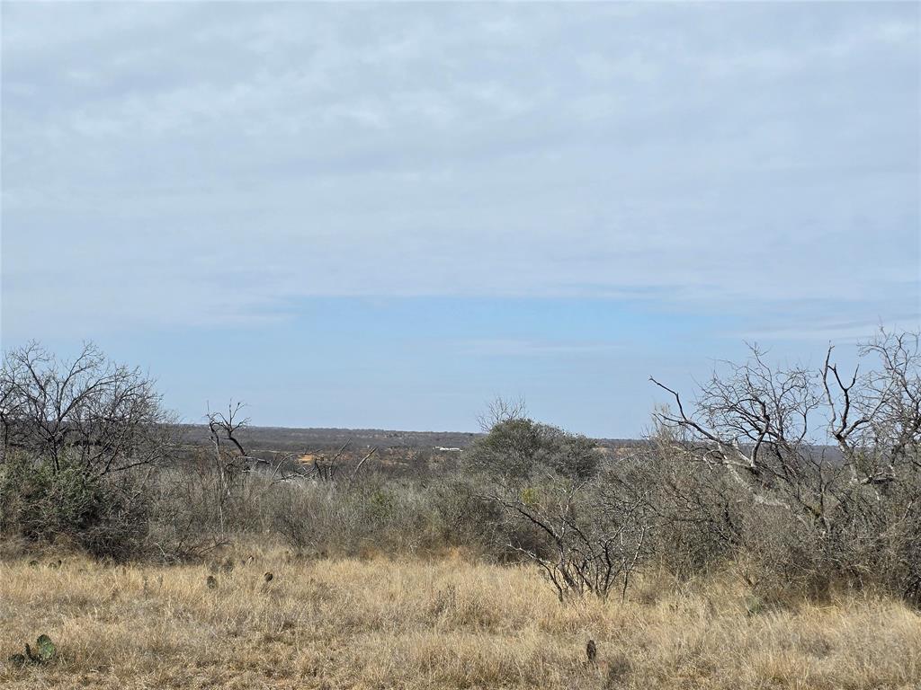 10315 Farm To Market 45 Rochelle, TX 76872 - Photo 28 of 40