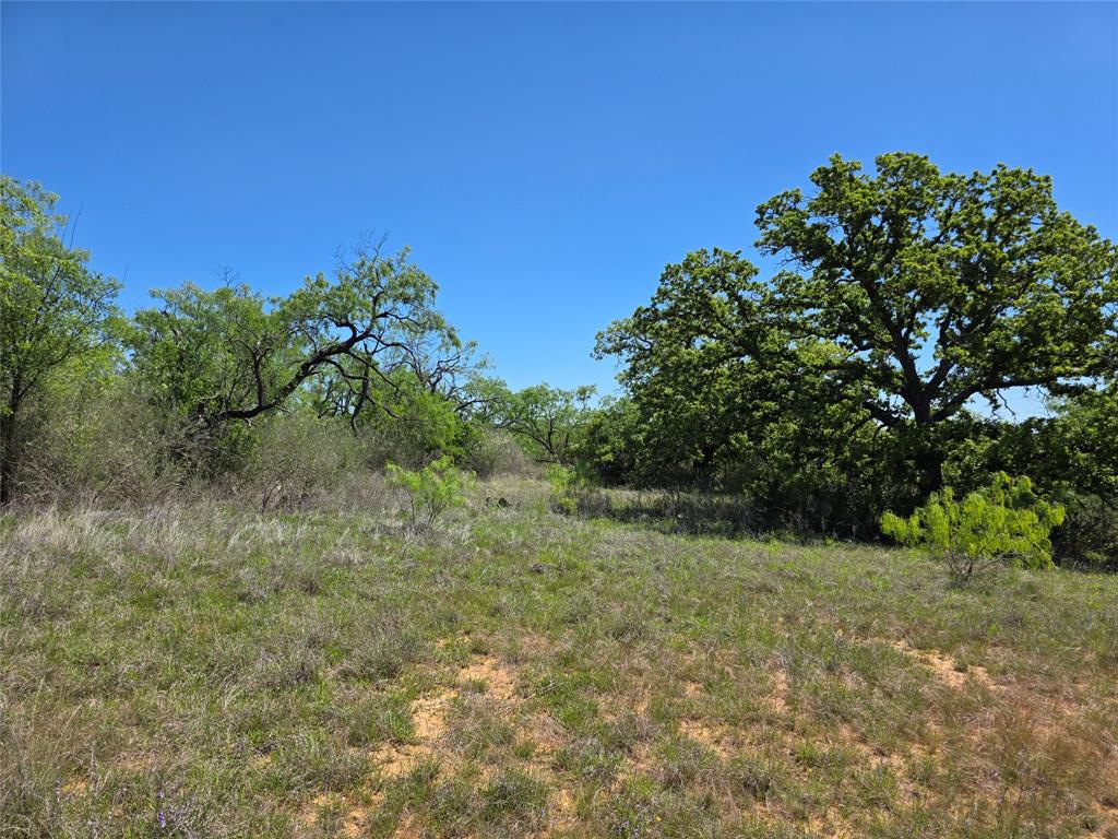 10315 Farm To Market 45 Rochelle, TX 76872 - Photo 28 of 40 a view of a green field with lots of bushes