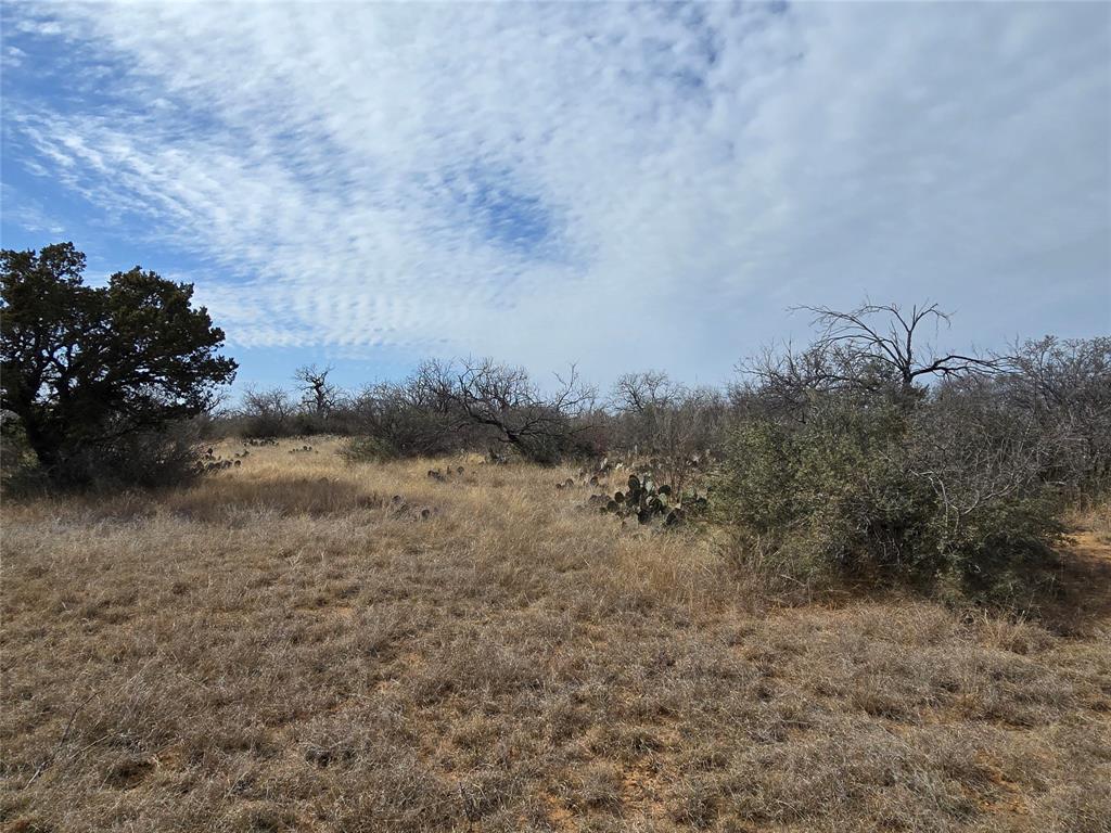 10315 Farm To Market 45 Rochelle, TX 76872 - Photo 29 of 40