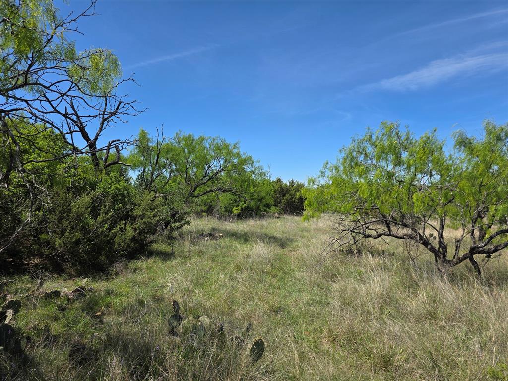 10315 Farm To Market 45 Rochelle, TX 76872 - Photo 29 of 40