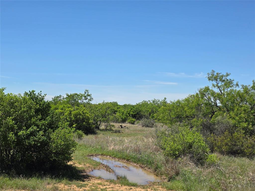 10315 Farm To Market 45 Rochelle, TX 76872 - Photo 3 of 40 a view of a lake with a yard