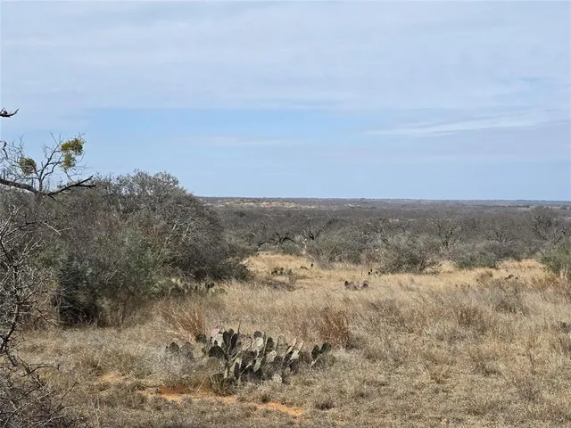 $392,875 | 10315 Farm To Market 45, Rochelle, TX 76872