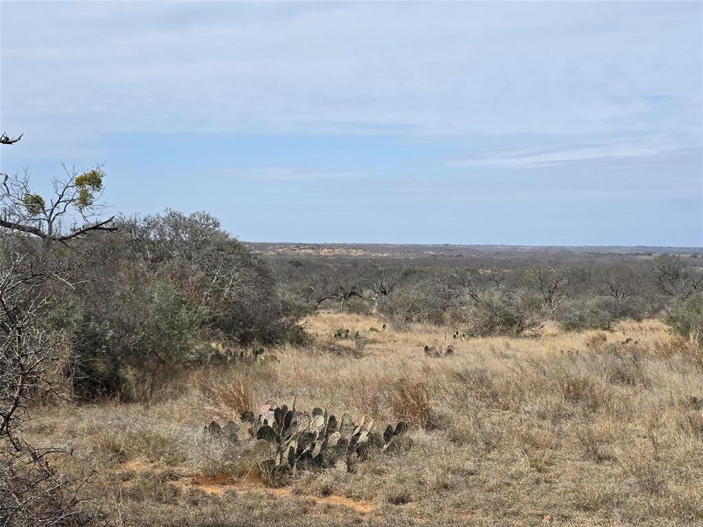 10315 Farm To Market 45 Rochelle, TX 76872 - Photo 3 of 40