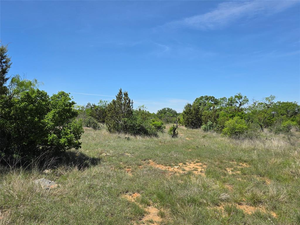 10315 Farm To Market 45 Rochelle, TX 76872 - Photo 31 of 40 a view of a field of grass and trees
