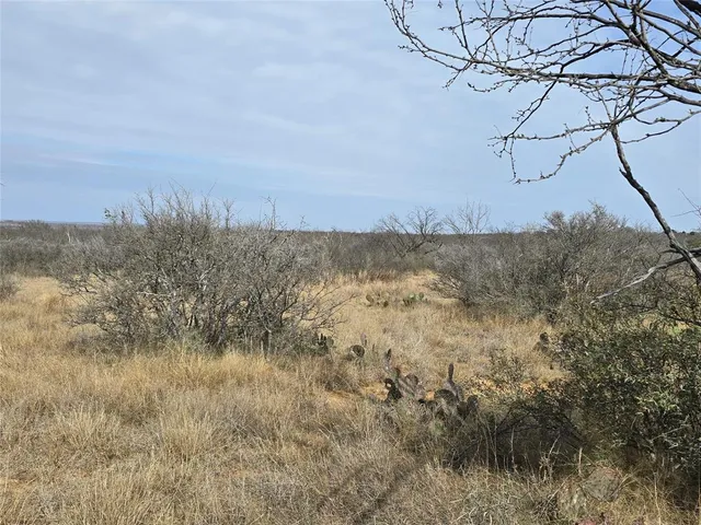 $392,875 | 10315 Farm To Market 45, Rochelle, TX 76872