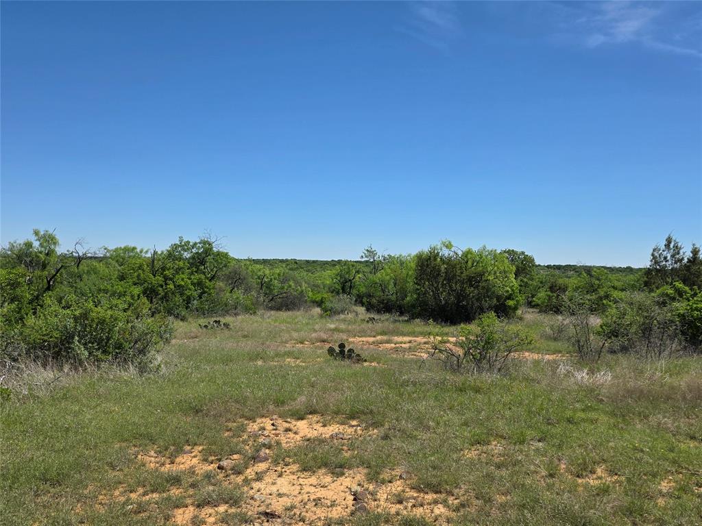 10315 Farm To Market 45 Rochelle, TX 76872 - Photo 32 of 40 a view of a field with trees in background