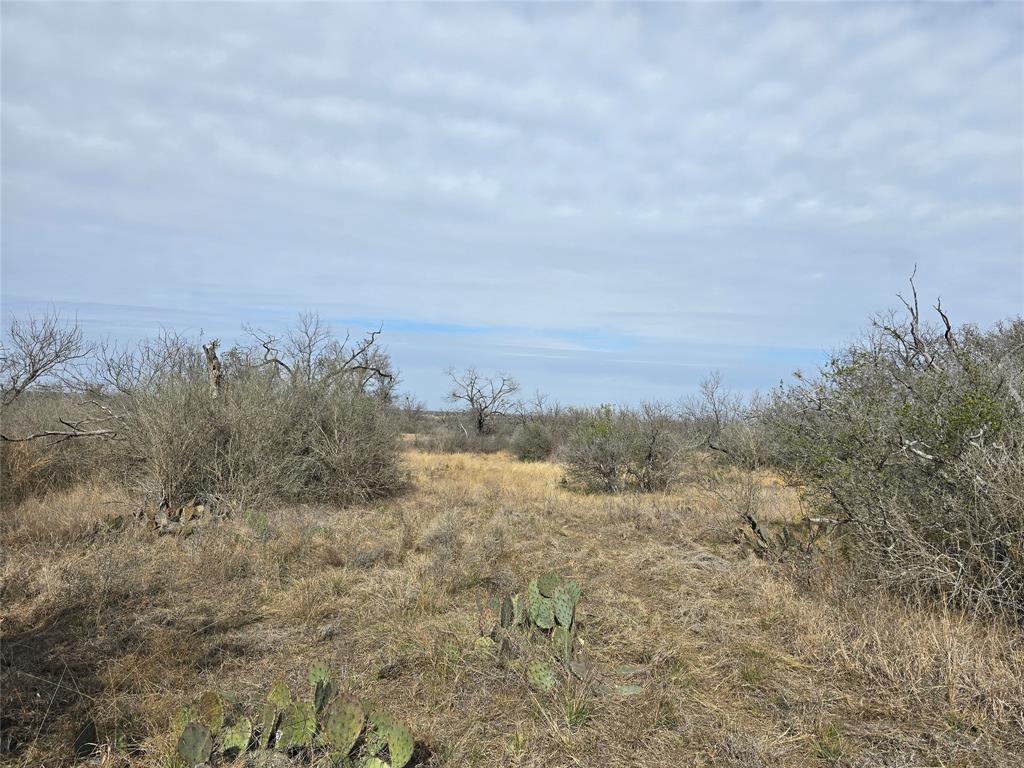 10315 Farm To Market 45 Rochelle, TX 76872 - Photo 33 of 40