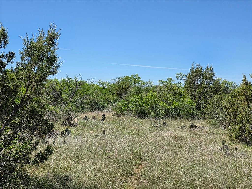 10315 Farm To Market 45 Rochelle, TX 76872 - Photo 33 of 40 a view of a forest with trees in the background