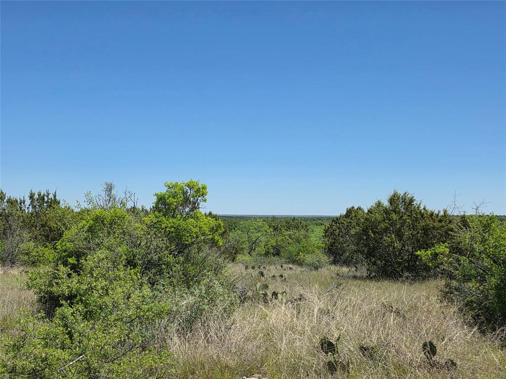 10315 Farm To Market 45 Rochelle, TX 76872 - Photo 34 of 40 a view of a field of grass and trees