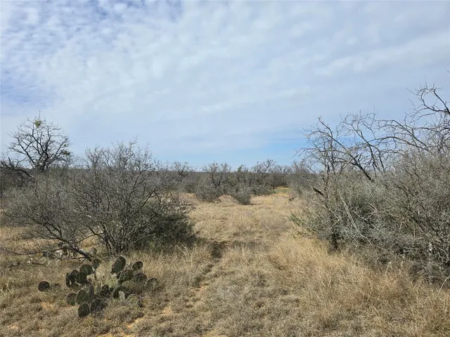 $392,875 | 10315 Farm To Market 45, Rochelle, TX 76872