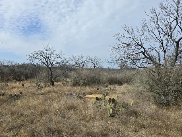 $392,875 | 10315 Farm To Market 45, Rochelle, TX 76872