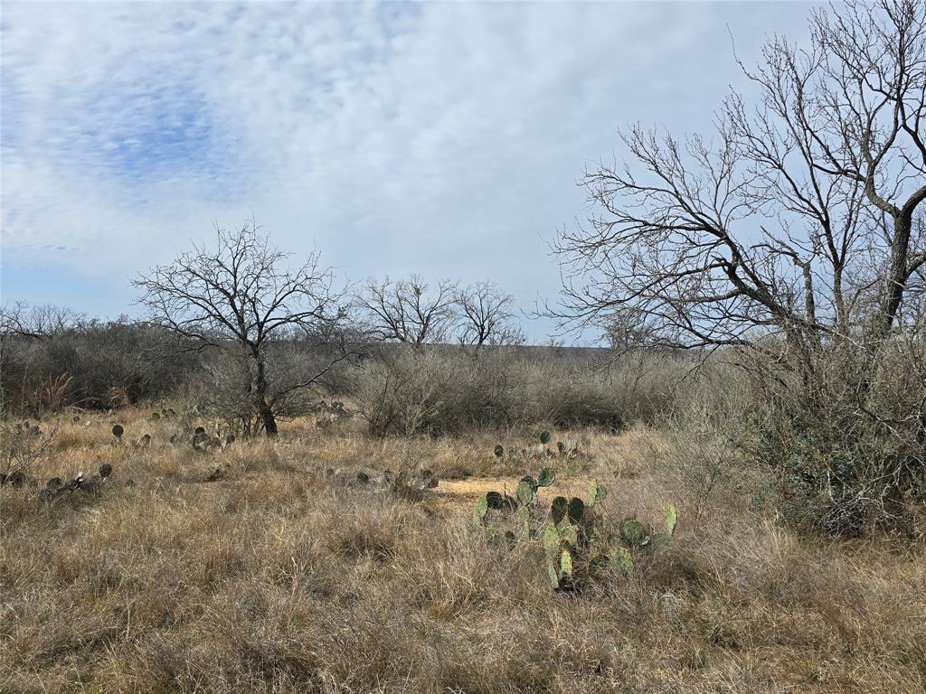 10315 Farm To Market 45 Rochelle, TX 76872 - Photo 37 of 40