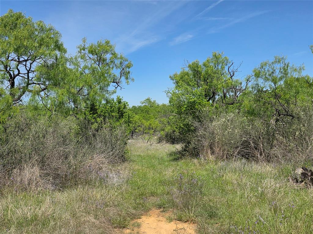 10315 Farm To Market 45 Rochelle, TX 76872 - Photo 37 of 40