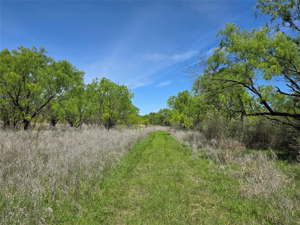 10315 Farm To Market 45 Rochelle, TX 76872 - Photo 38 of 40 a view of a lush green space
