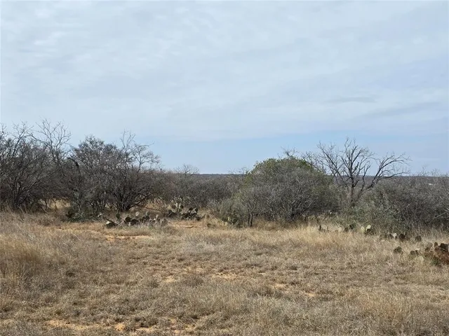 $392,875 | 10315 Farm To Market 45, Rochelle, TX 76872