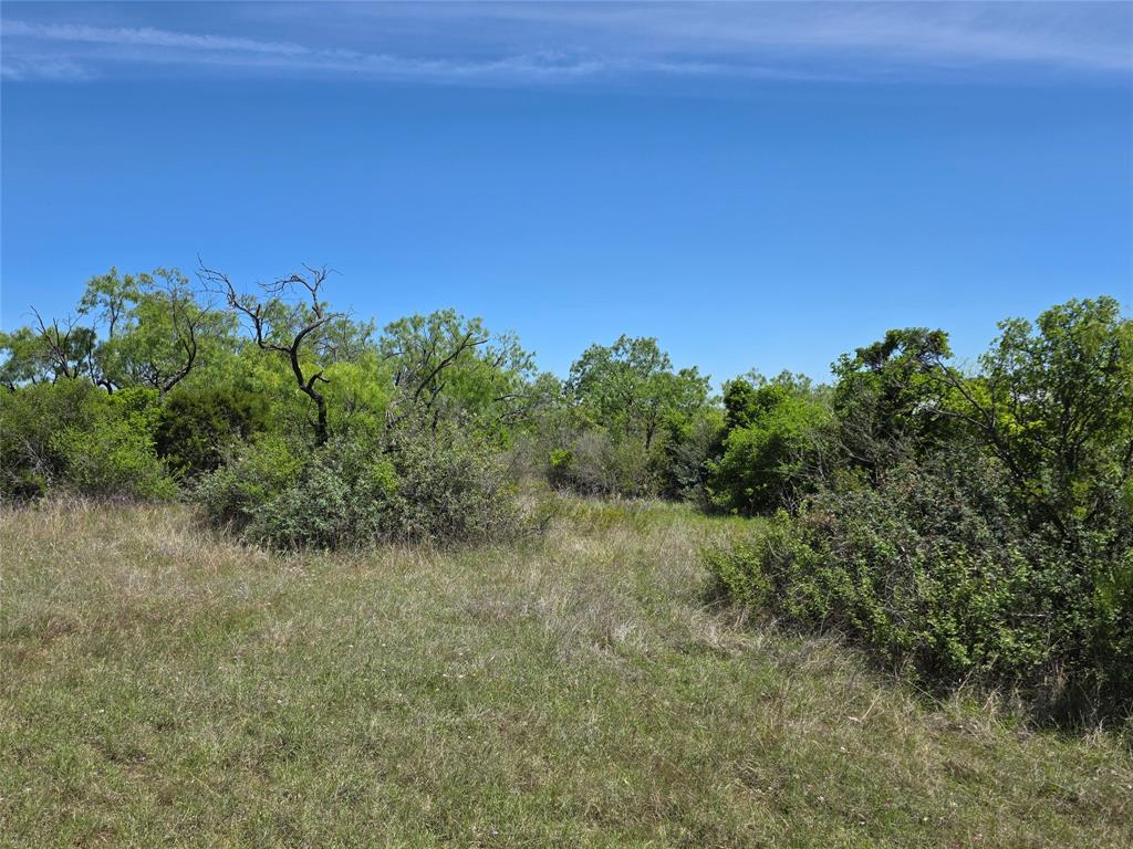 10315 Farm To Market 45 Rochelle, TX 76872 - Photo 40 of 40 a view of a big yard with plants and a tree