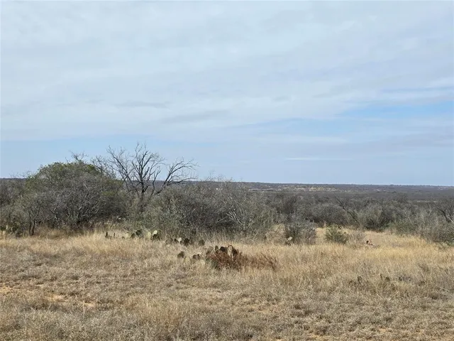 $392,875 | 10315 Farm To Market 45, Rochelle, TX 76872