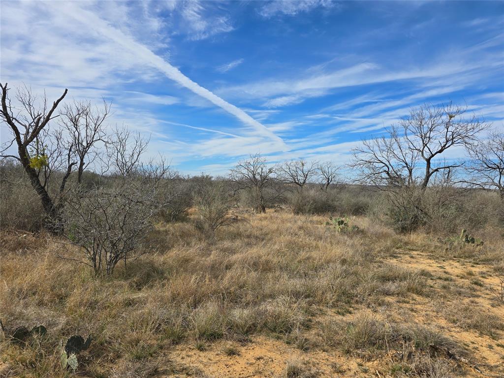 10315 Farm To Market 45 Rochelle, TX 76872 - Photo 4 of 40