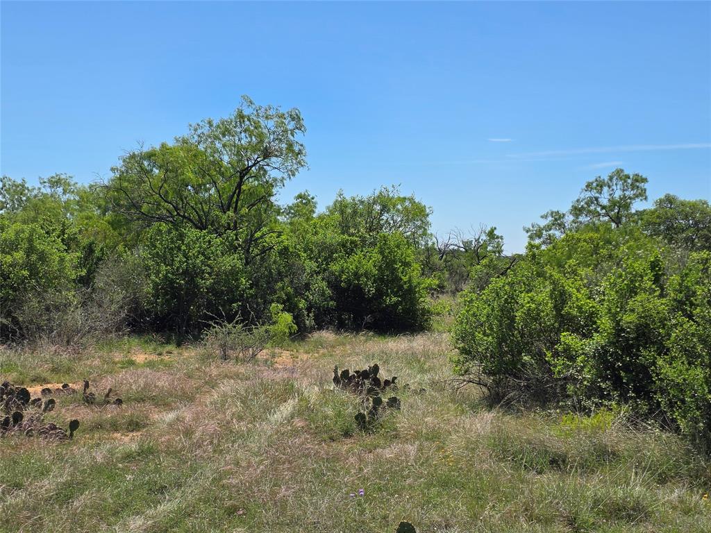 10315 Farm To Market 45 Rochelle, TX 76872 - Photo 4 of 40 a view of a small yard