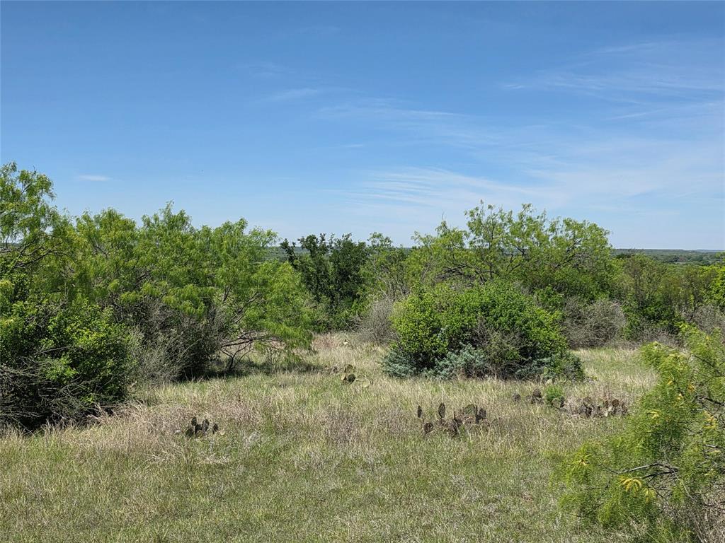 10315 Farm To Market 45 Rochelle, TX 76872 - Photo 5 of 40 a view of a field of grass and trees