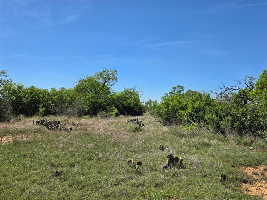 10315 Farm To Market 45 Rochelle, TX 76872 - Photo 7 of 40