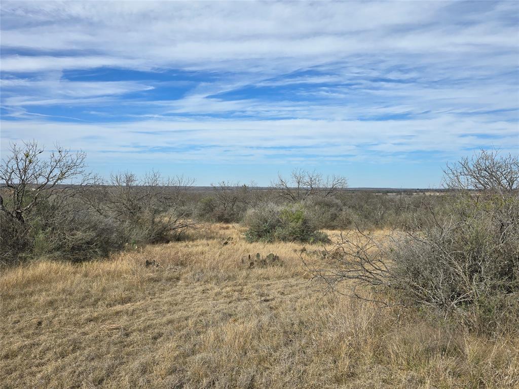 10315 Farm To Market 45 Rochelle, TX 76872 - Photo 7 of 40