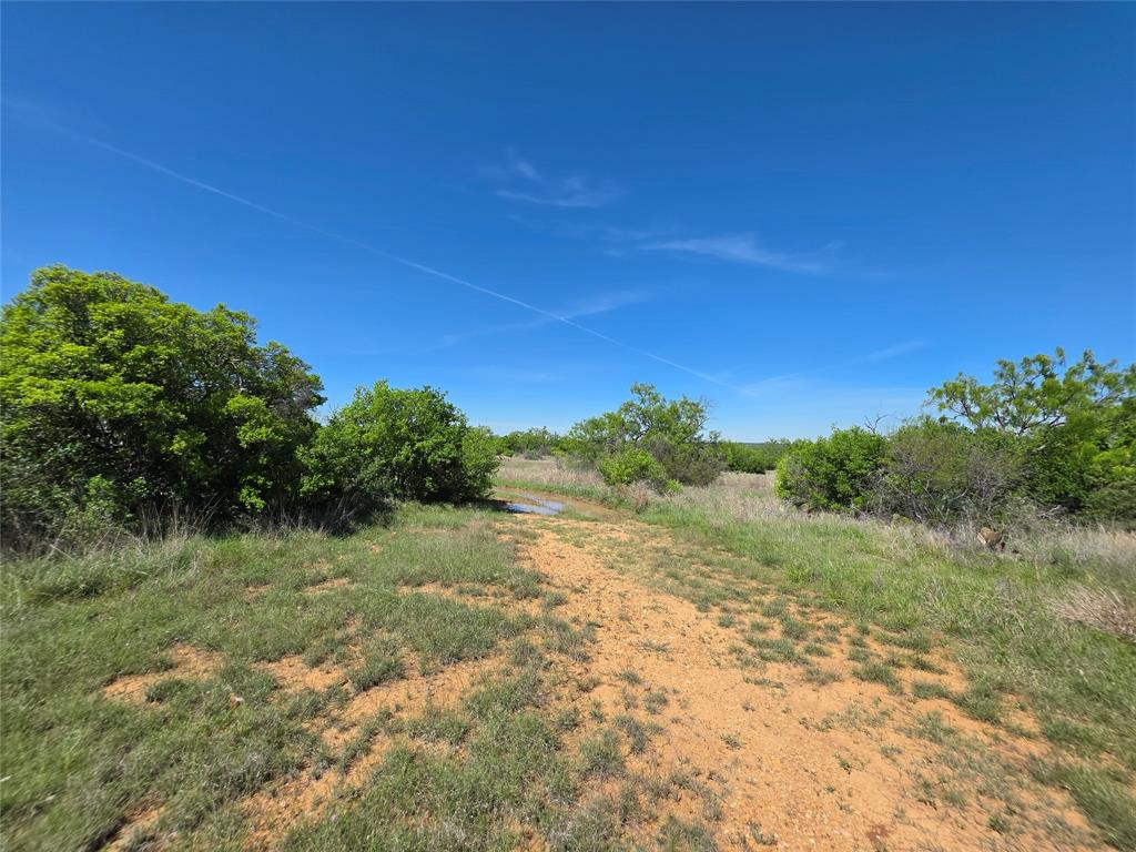 10315 Farm To Market 45 Rochelle, TX 76872 - Photo 8 of 40 a view of a field with a tree in the background