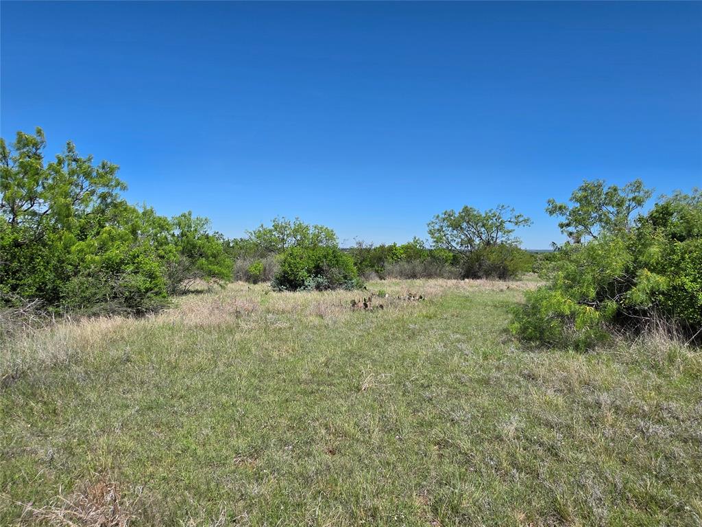 10315 Farm To Market 45 Rochelle, TX 76872 - Photo 9 of 40