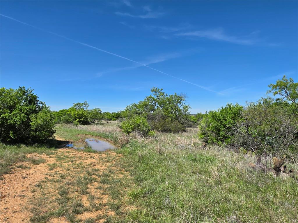 10315 Farm To Market 45 Rochelle, TX 76872 - Photo 10 of 40 a view of a lake with a yard