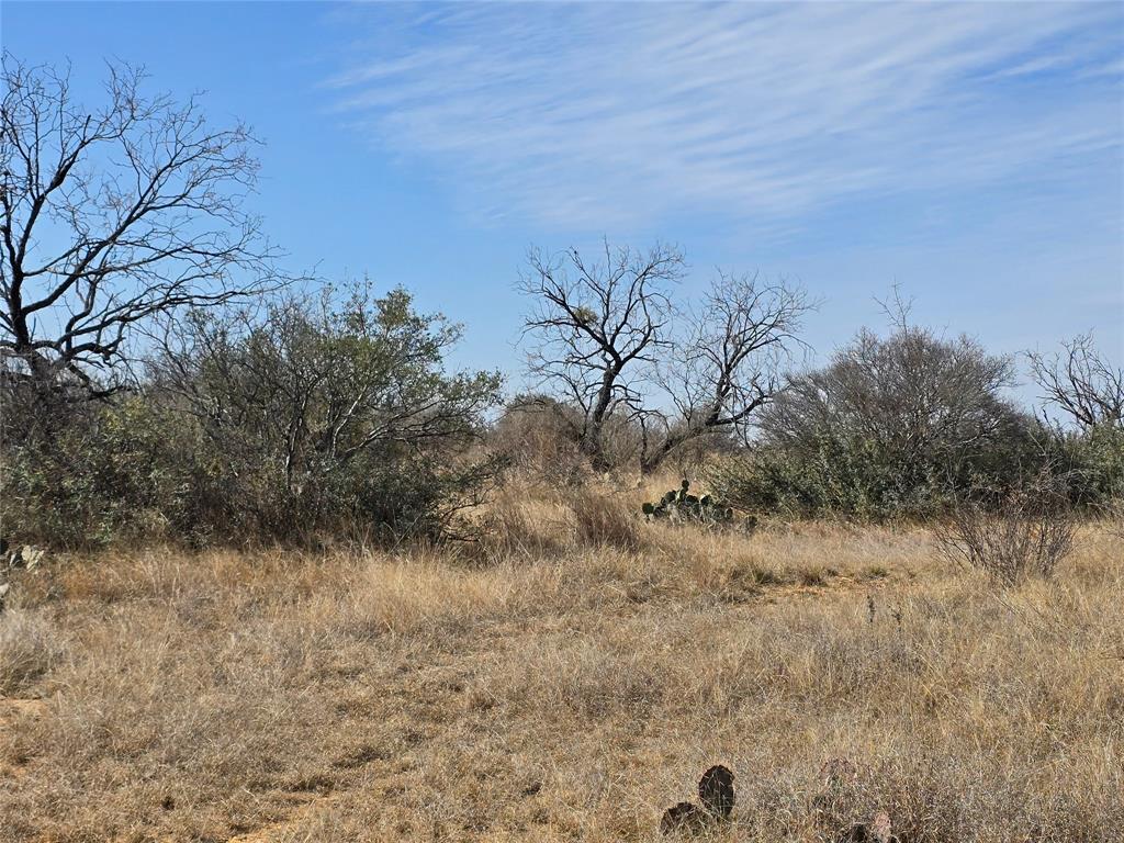 10315 Farm To Market 45 Rochelle, TX 76872 - Photo 10 of 40