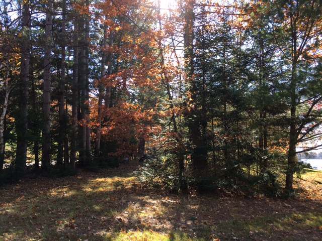On East Lake George Road Rhinelander, WI 54501 - Photo 4 of 16 Gallery Image 4