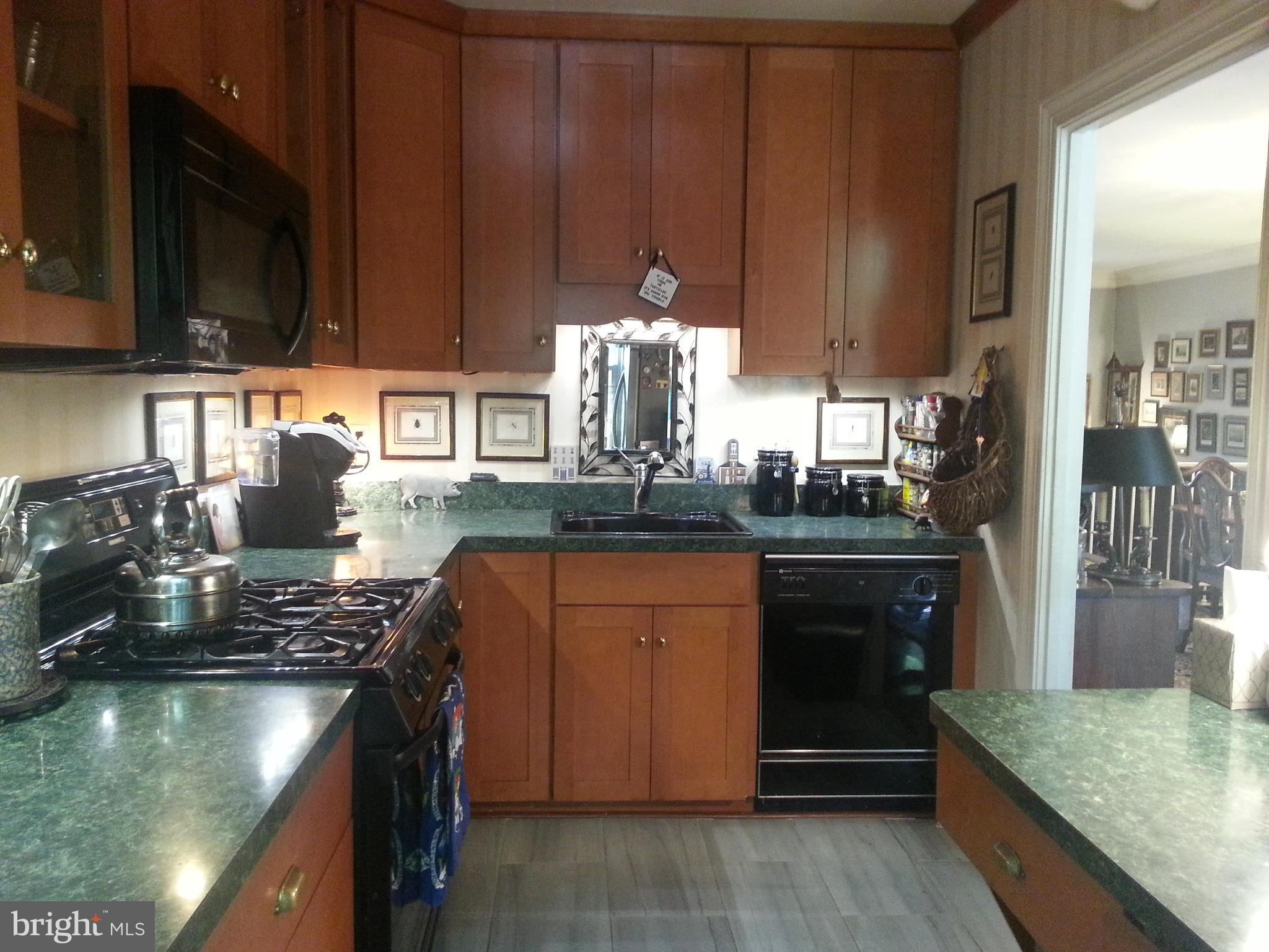 215 Oronoco Street Alexandria, VA 22314 - Photo 7 of 29 Kitchen