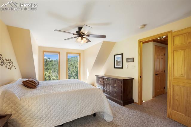 204 Kutsu Ridge Road Florissant, CO 80816 - Photo 16 of 29