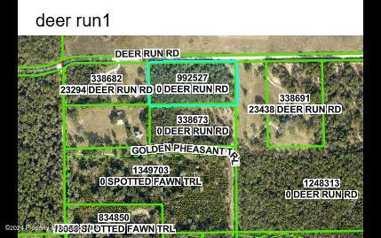 0 Deer Run Road Brooksville, FL 34601 - Photo 9 of 17 Gallery Image 9