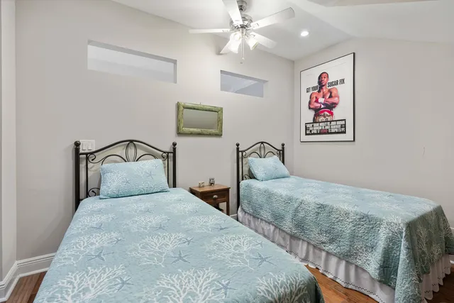 a garden with palm trees