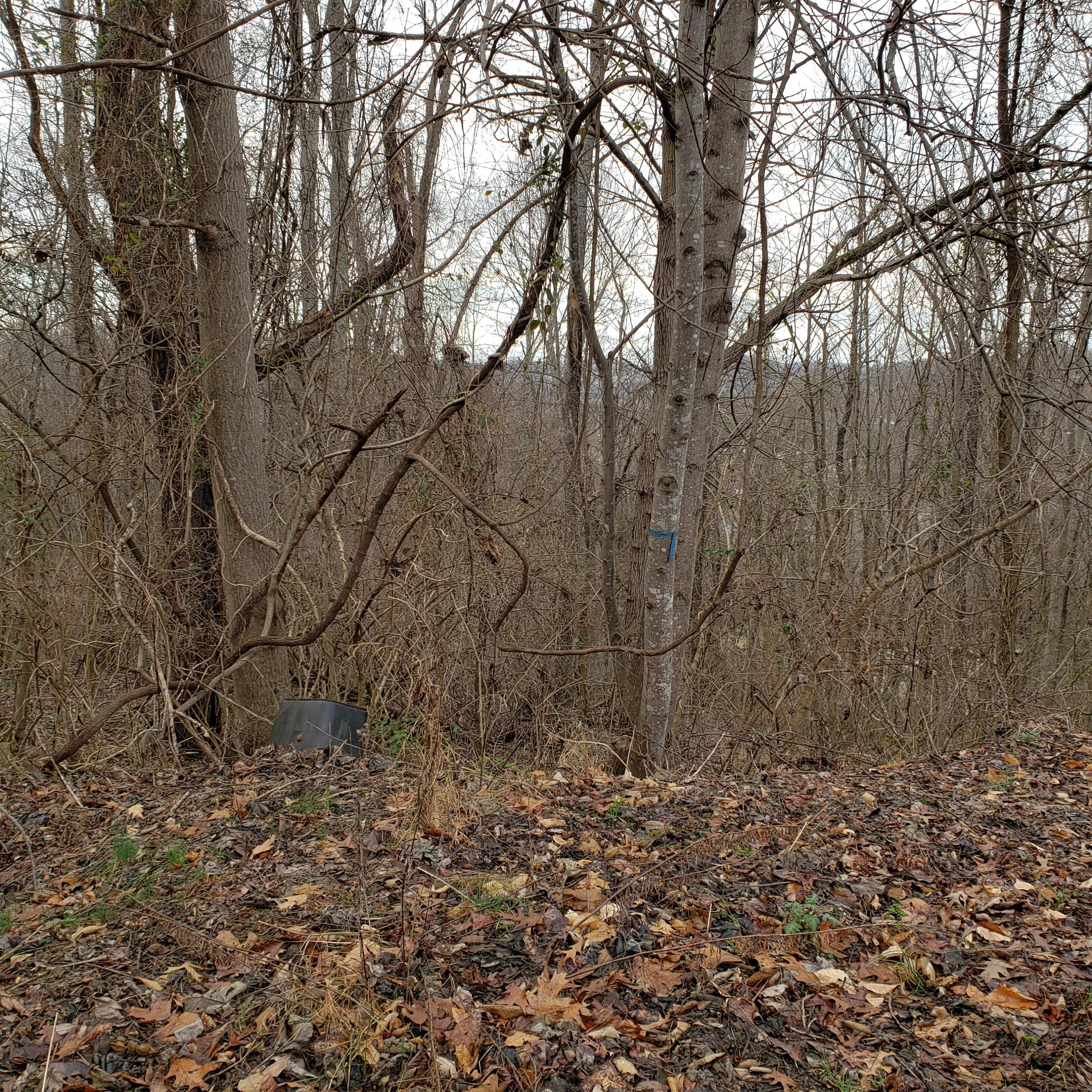 0 Dugger Rd Extension, Unit 6 & 7 Elizabethton, TN 37643 - Photo 3 of 8 20200131_162658