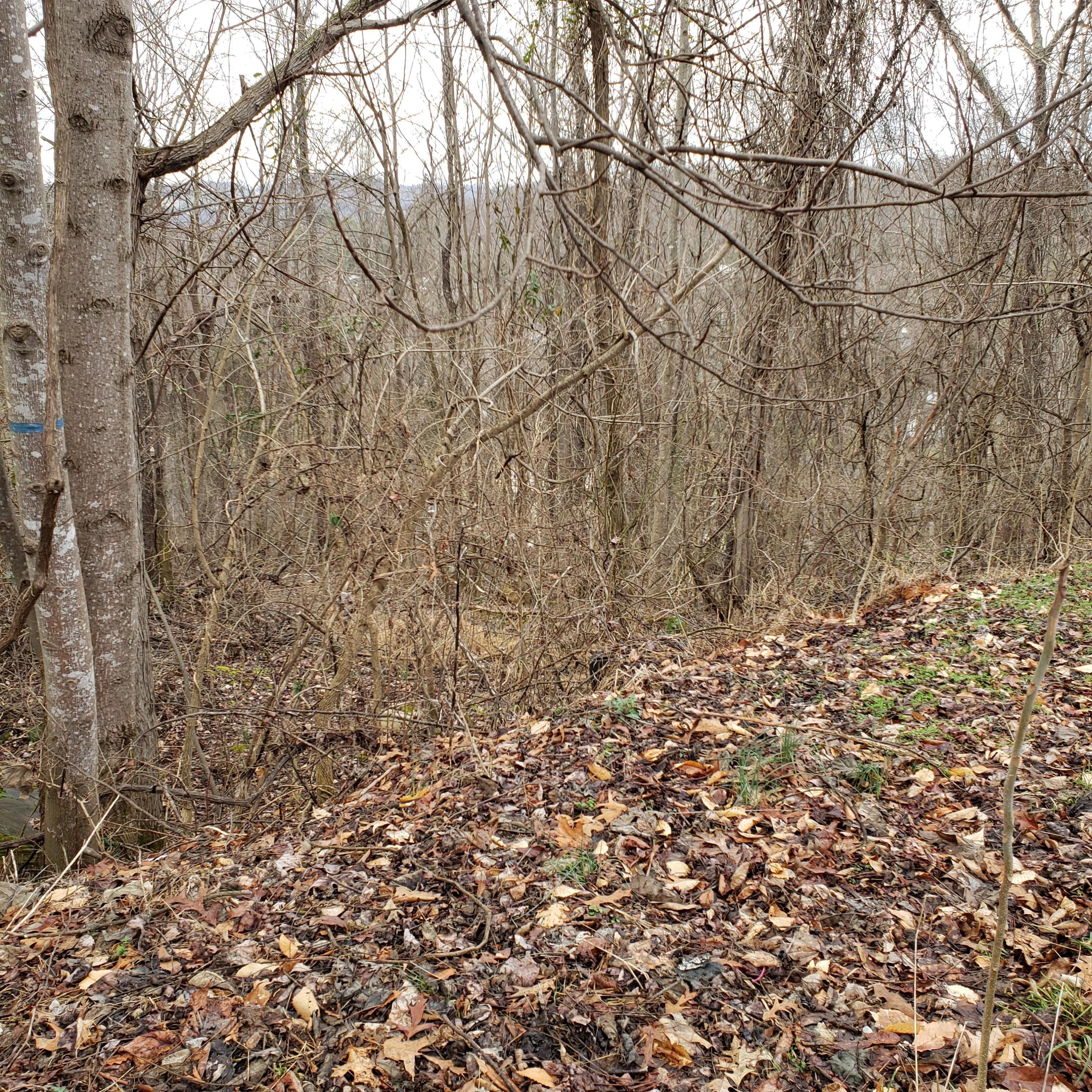 0 Dugger Rd Extension, Unit 6 & 7 Elizabethton, TN 37643 - Photo 4 of 8 20200131_162708