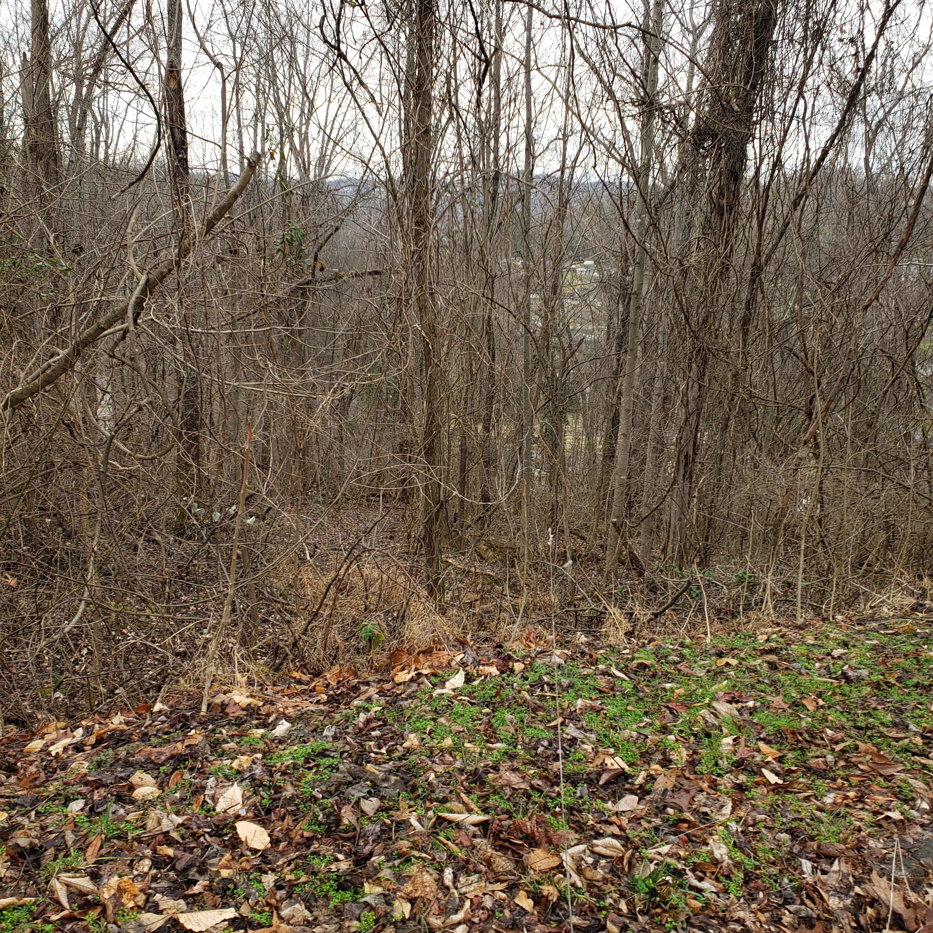 0 Dugger Rd Extension, Unit 6 & 7 Elizabethton, TN 37643 - Photo 6 of 8 20200131_162718