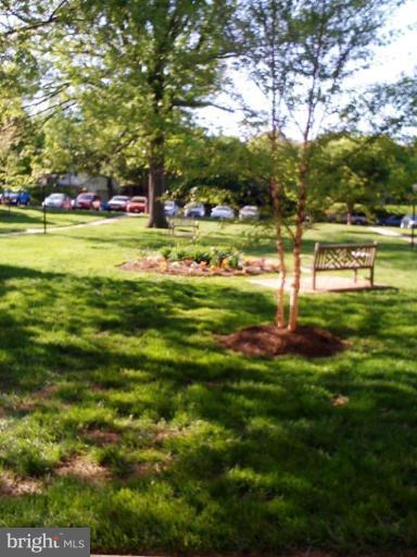 2406 Colston Drive, Unit 101 Silver Spring, MD 20910 - Photo 12 of 13 Garden outside your door
