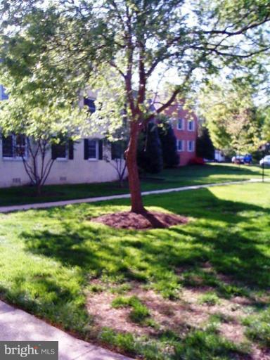 2406 Colston Drive, Unit 101 Silver Spring, MD 20910 - Photo 13 of 13 Surrounded by greenery