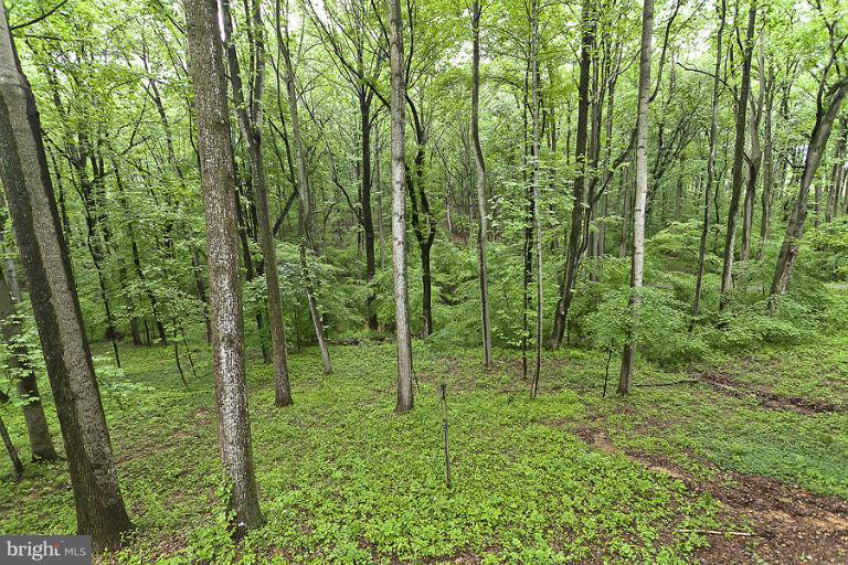 16215 Comus Road Clarksburg, MD 20871 - Photo 27 of 29 a view of outdoor space and green space