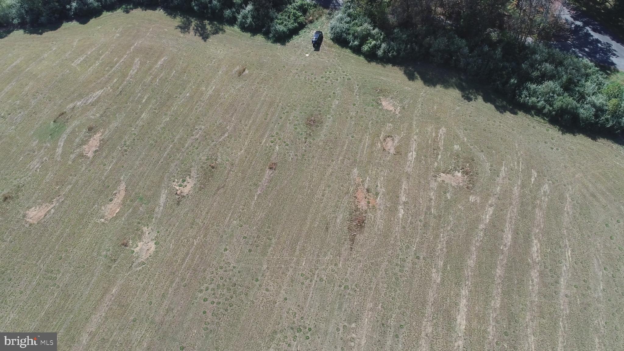 Lot 18-5a1 Dunkard Church Road, Unit 185A1 Rixeyville, VA 22737 - Photo 4 of 4 a view of a dry yard with trees