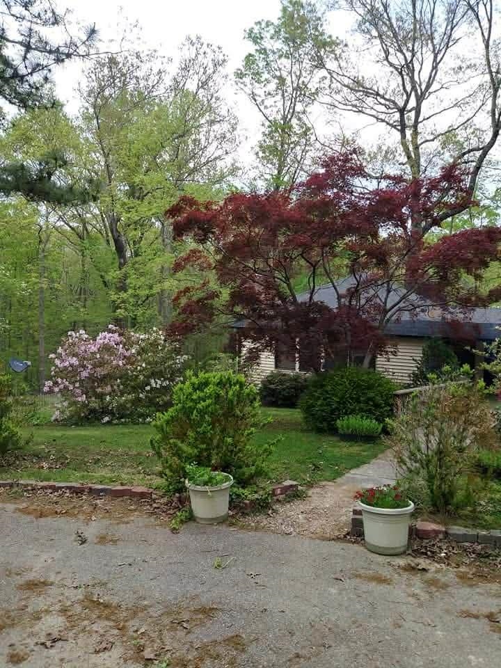 1655 Country Club Road Somerville, TN 38068 - Photo 1 of 26 a front view of a house with a yard