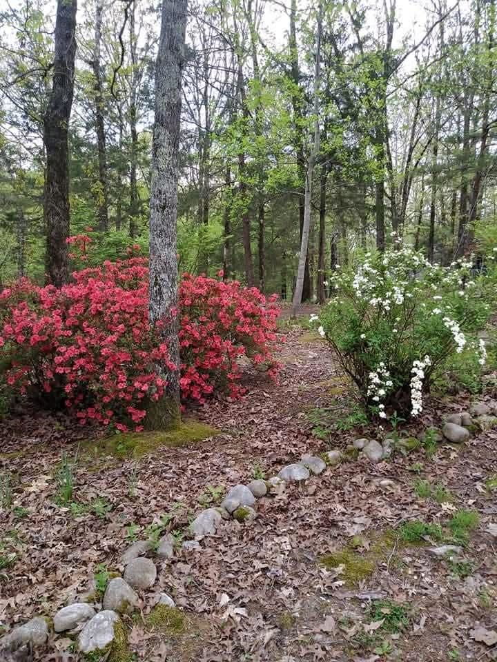 1655 Country Club Road Somerville, TN 38068 - Photo 2 of 26