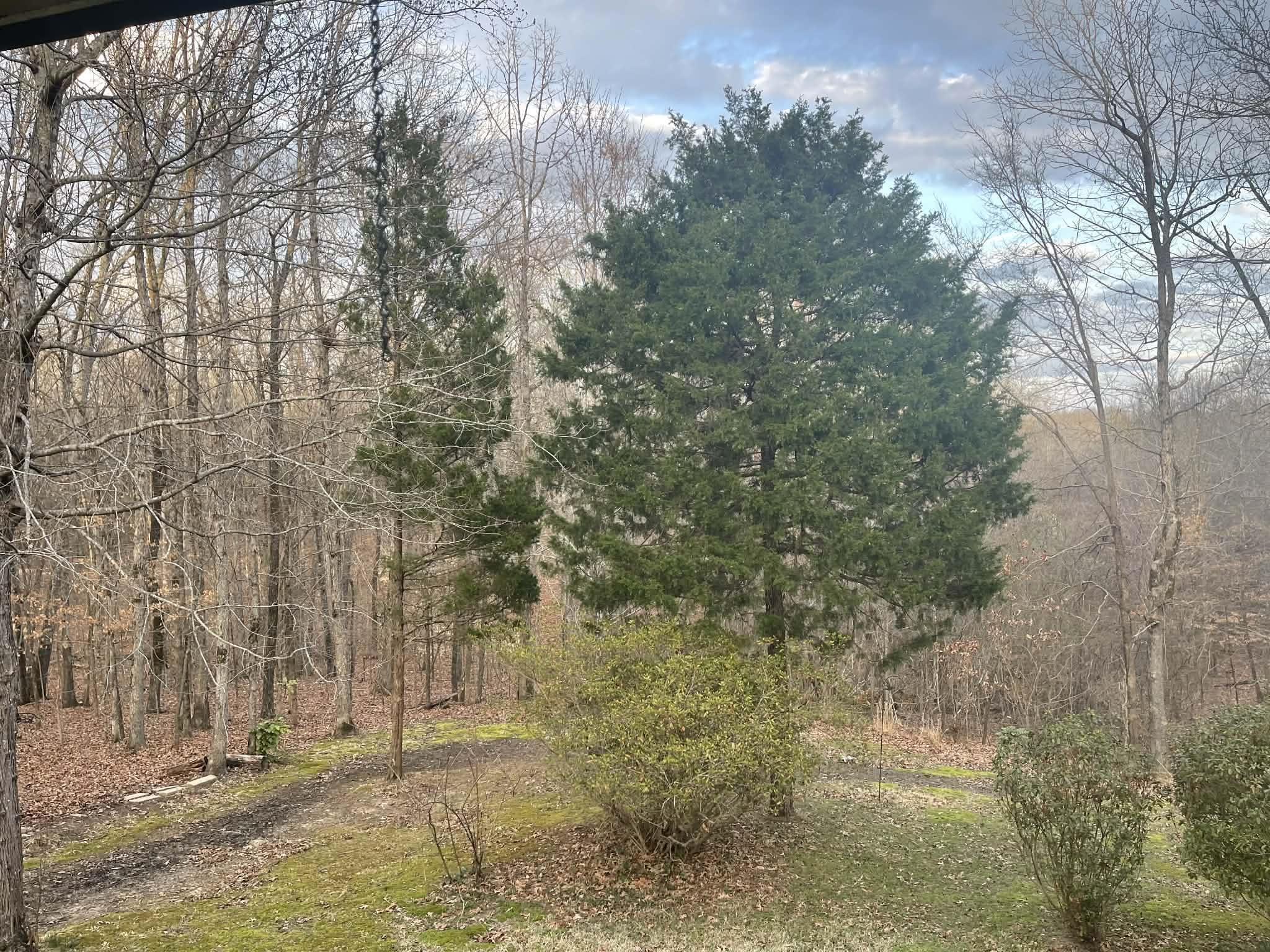 1655 Country Club Road Somerville, TN 38068 - Photo 23 of 26