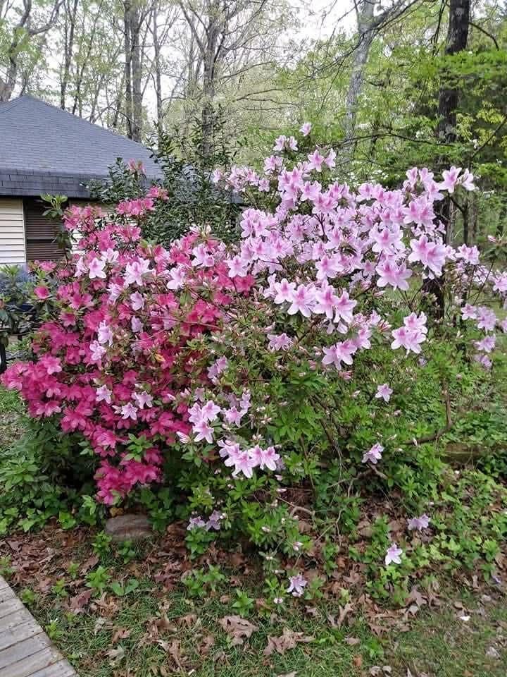 1655 Country Club Road Somerville, TN 38068 - Photo 24 of 26