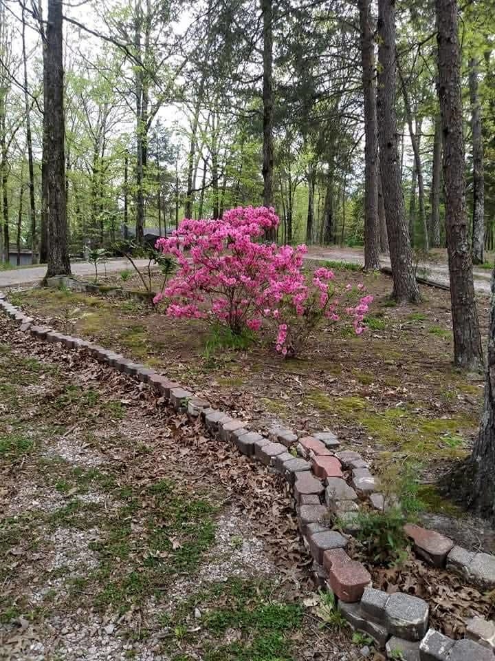 1655 Country Club Road Somerville, TN 38068 - Photo 25 of 26