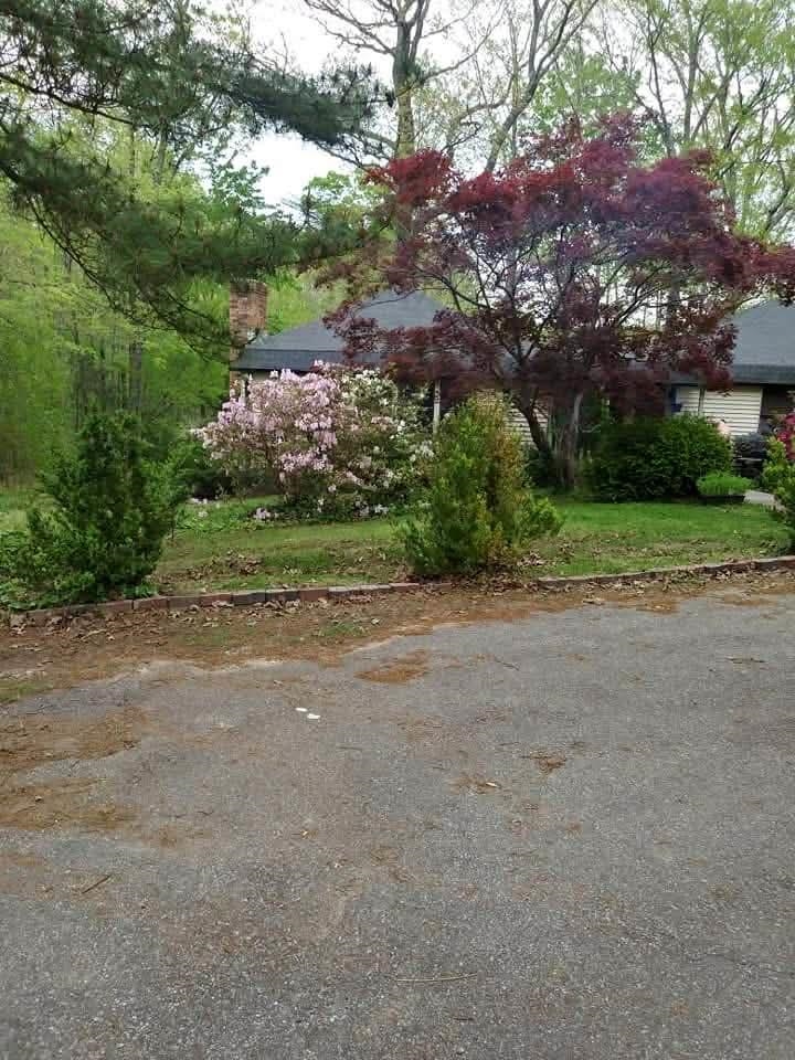 1655 Country Club Road Somerville, TN 38068 - Photo 3 of 26 a view of a road with a house in the background