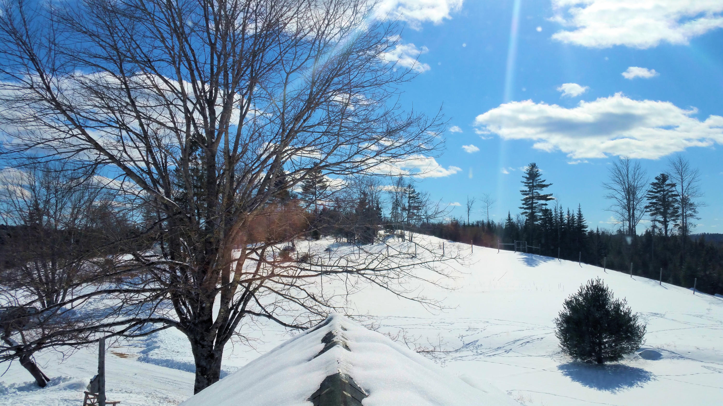 487 Airline Road Ellsworth, ME 04605 - Photo 56 of 61 05 field